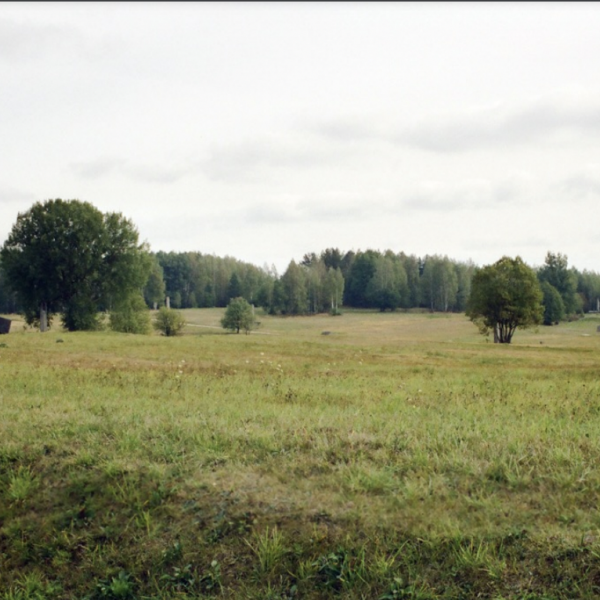 Between Documentary Prose, Travelogue, and Testimony: Documenting Holocaust and War in Postwar Belarus