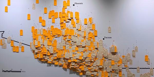 Whole wall map with toe tags