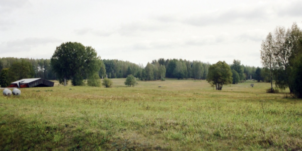 Green fields with trees and a home in the background and gray sky. 