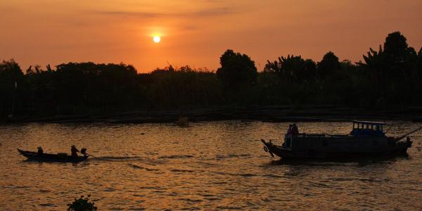 Bright sunset in the Mekong Delta. 